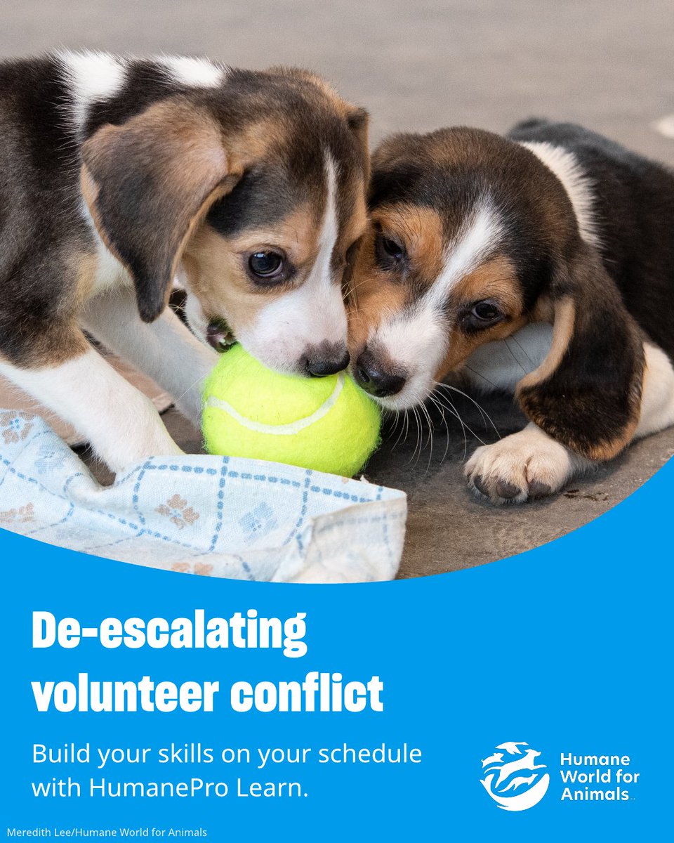HumanePro tweet media
