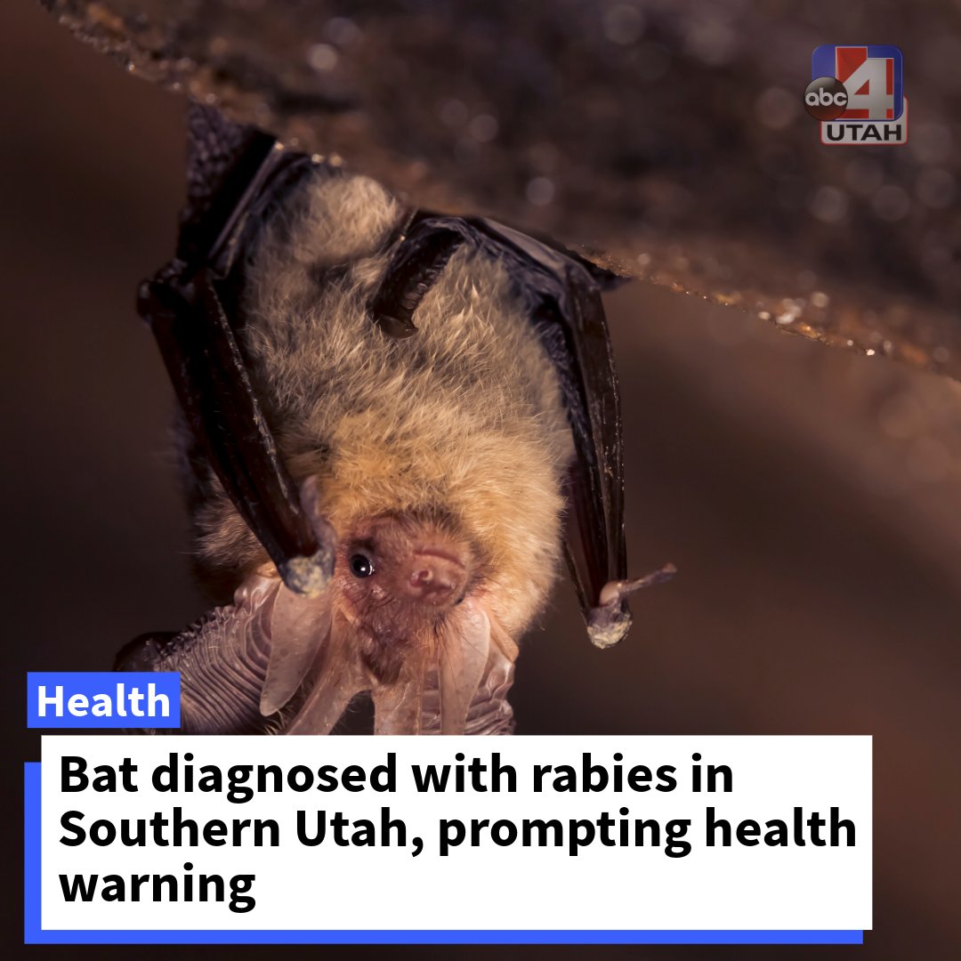 ABC4 News tweet media