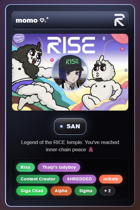 My RISE Passport Let's aRISE on @risechain! #RISE #Gigagas https://t.co ...