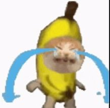 こむぎ tweet media