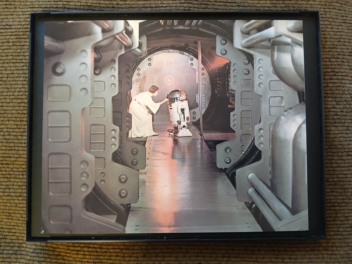 MaraJadeSkywalk's tweet photo. #StarWars #ANewHope #PrincessLeia #Artoo https://t.co/tsD1PPsp05