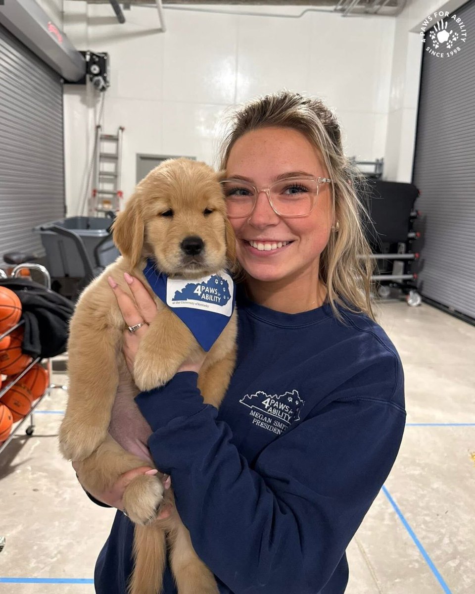 4 Paws For Ability tweet media