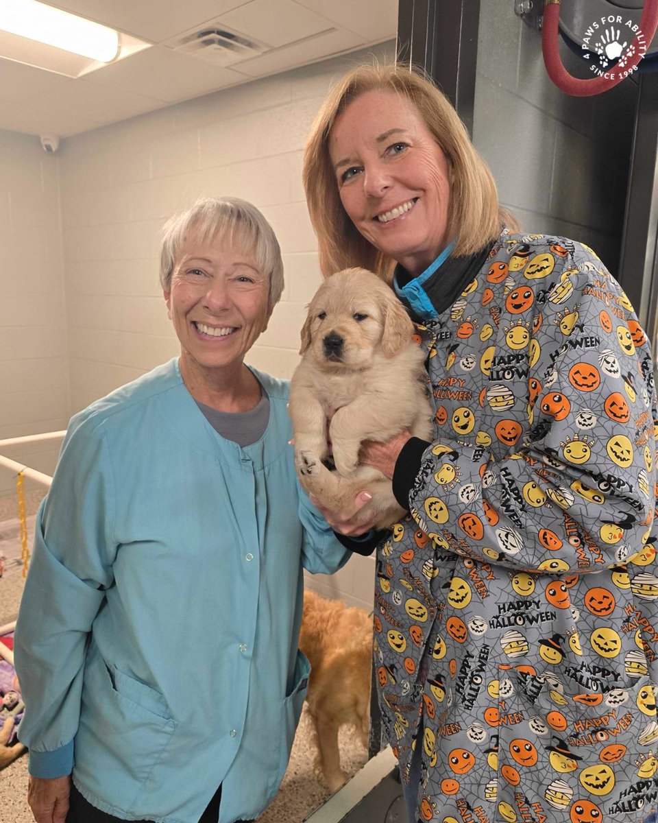 4 Paws For Ability tweet media