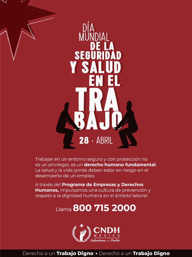 CNDH en México tweet media