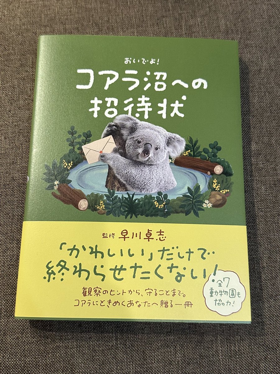 🐨🐨🐨🐨🐨やっと入手しました🐨🐨🐨🐨🐨
