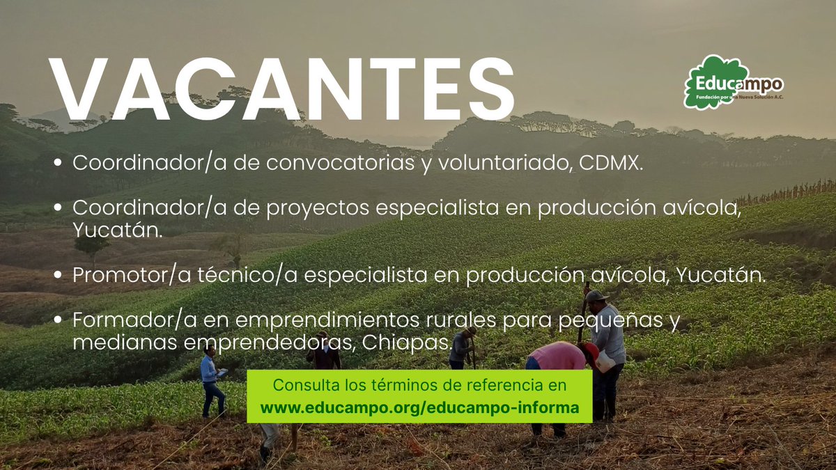 Educampo MX tweet media