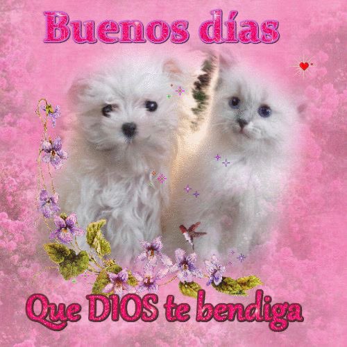 lu 23/10 tweet media