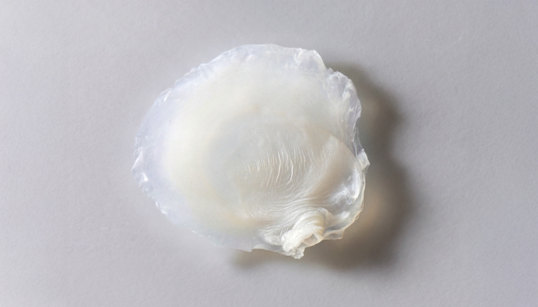 Avon desenvolve primeira pele bioimpressa que reproduz efeitos da menopausa
brazilbeautynews.com/avon-desenvolv…