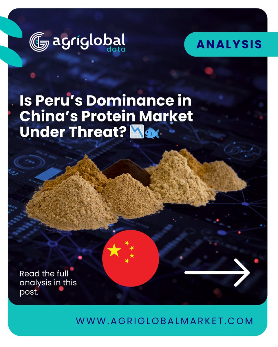 AgriglobalM's tweet image. Is Peru’s Dominance in China’s Protein Market Under Threat? 📉🐟

📊 Get the full breakdown at AgriGlobalMarket.com
.
.
.
#AgriBusiness #Fishmeal #Rendering #SupplyChain #ChinaTrade #Commodities #PetFood #MacroEconomics