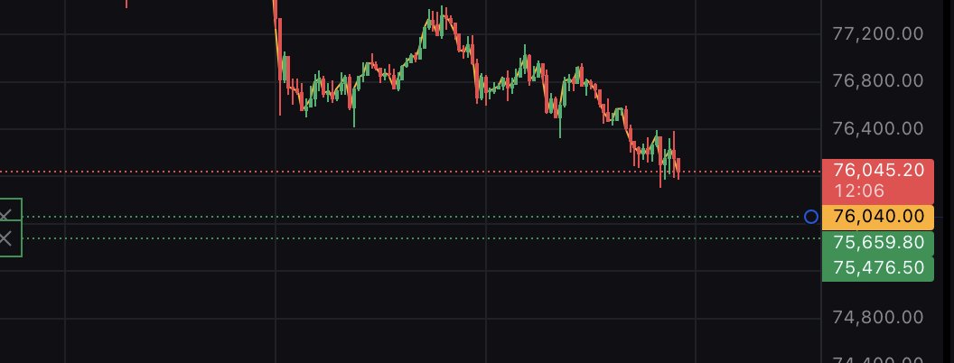 ぽむぽむぷりんてゃん tweet media
