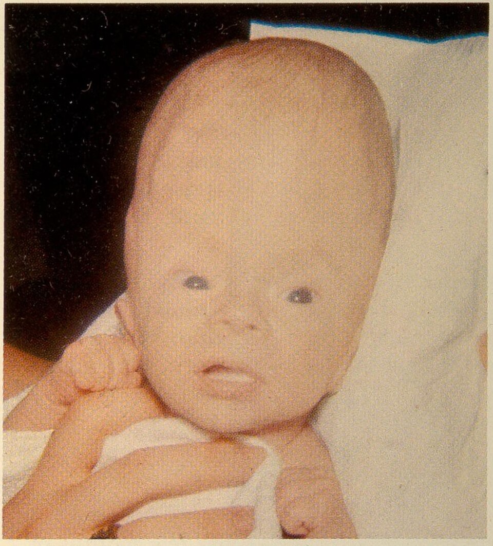 MedLearn Hub tweet media