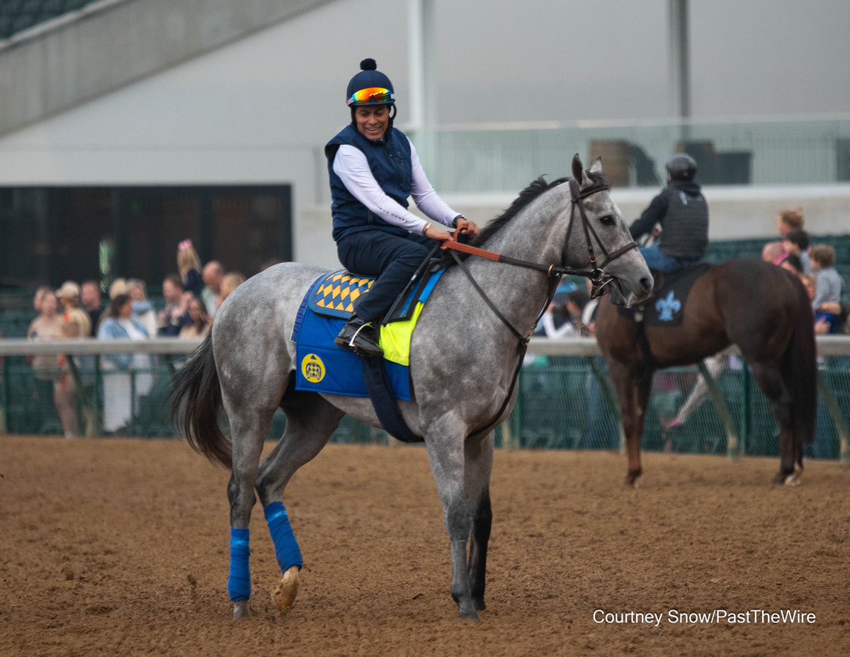 _CourtneySnow_'s tweet photo. Last year’s G1 Del Mar Futurity winner Brant (Gun Runner) galloping on Saturday. https://t.co/UofL5SDms1