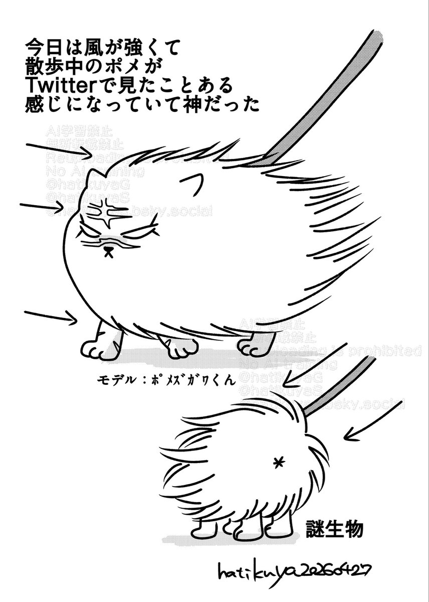 きょうのにっき
ポメ化注意