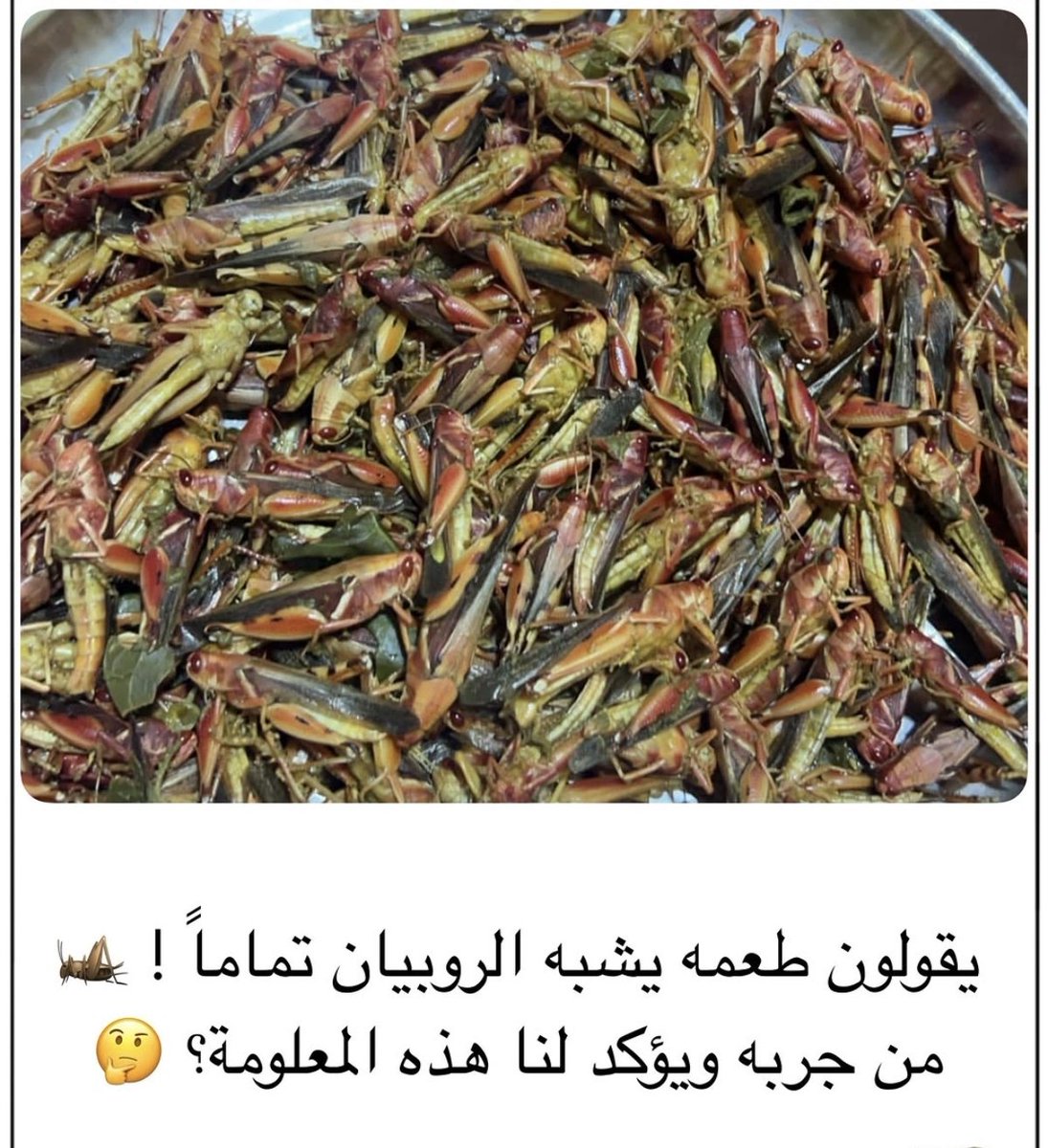 هدى الغافرية tweet media