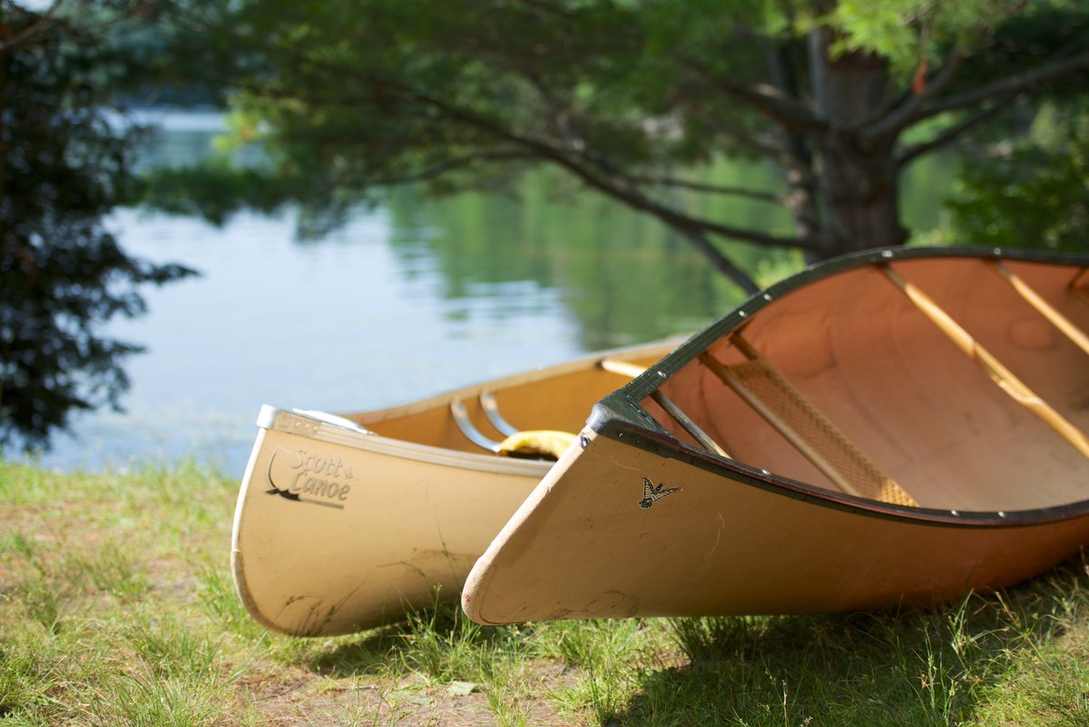 French River Provincial Park tweet media