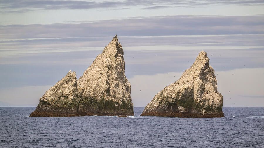 joancarroll's tweet image. Shag Rocks! buff.ly/MBhZQti #shagrocks #rocks #ocean #southgeorgia #antarctic #seascape #shags #nature #horizon #FAArtist #buyart #HomeDecor #wallart #artforsale #artstore #travel #travelphotography #BuyIntoArt #AYearForArt #wallartforsale #giftideas @joancarroll