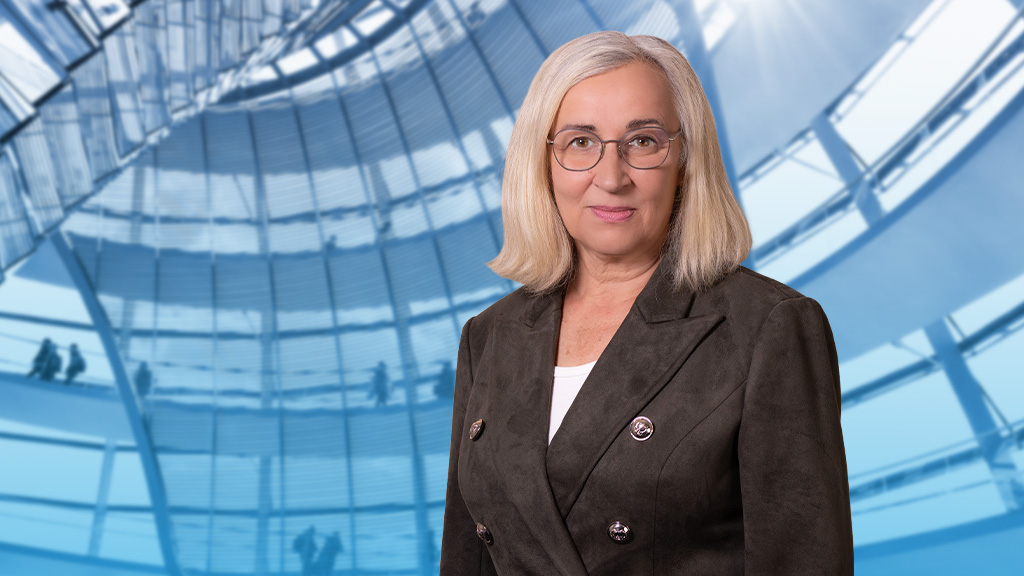 AfD-Fraktion im Deutschen Bundestag 🇩🇪 tweet media