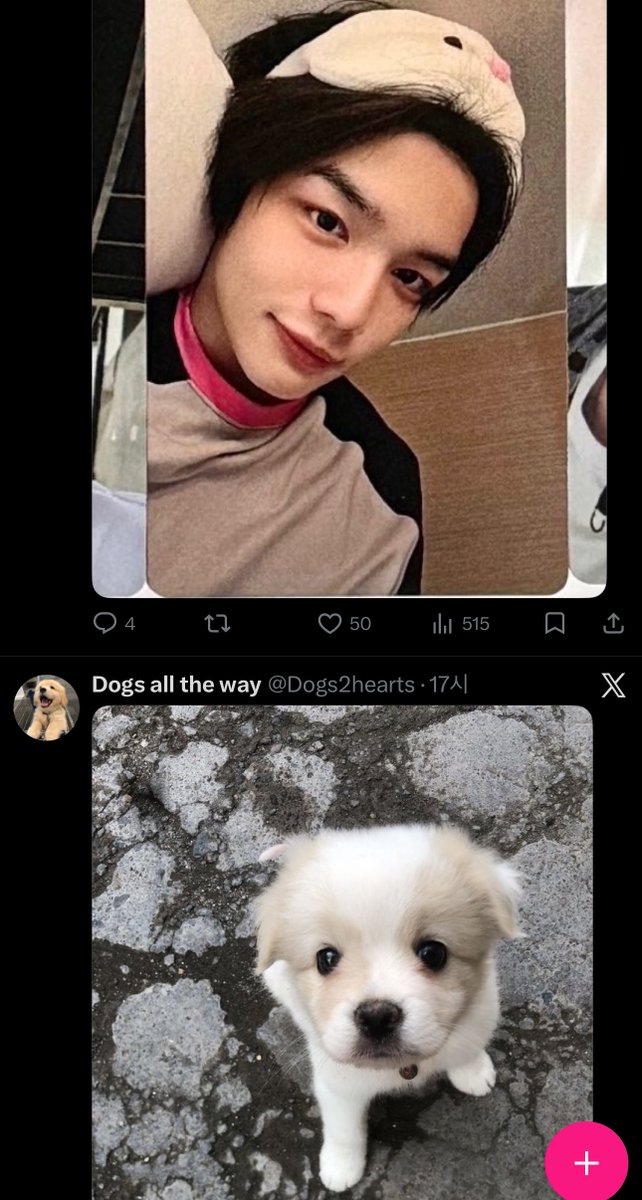 코낸......💤 tweet media
