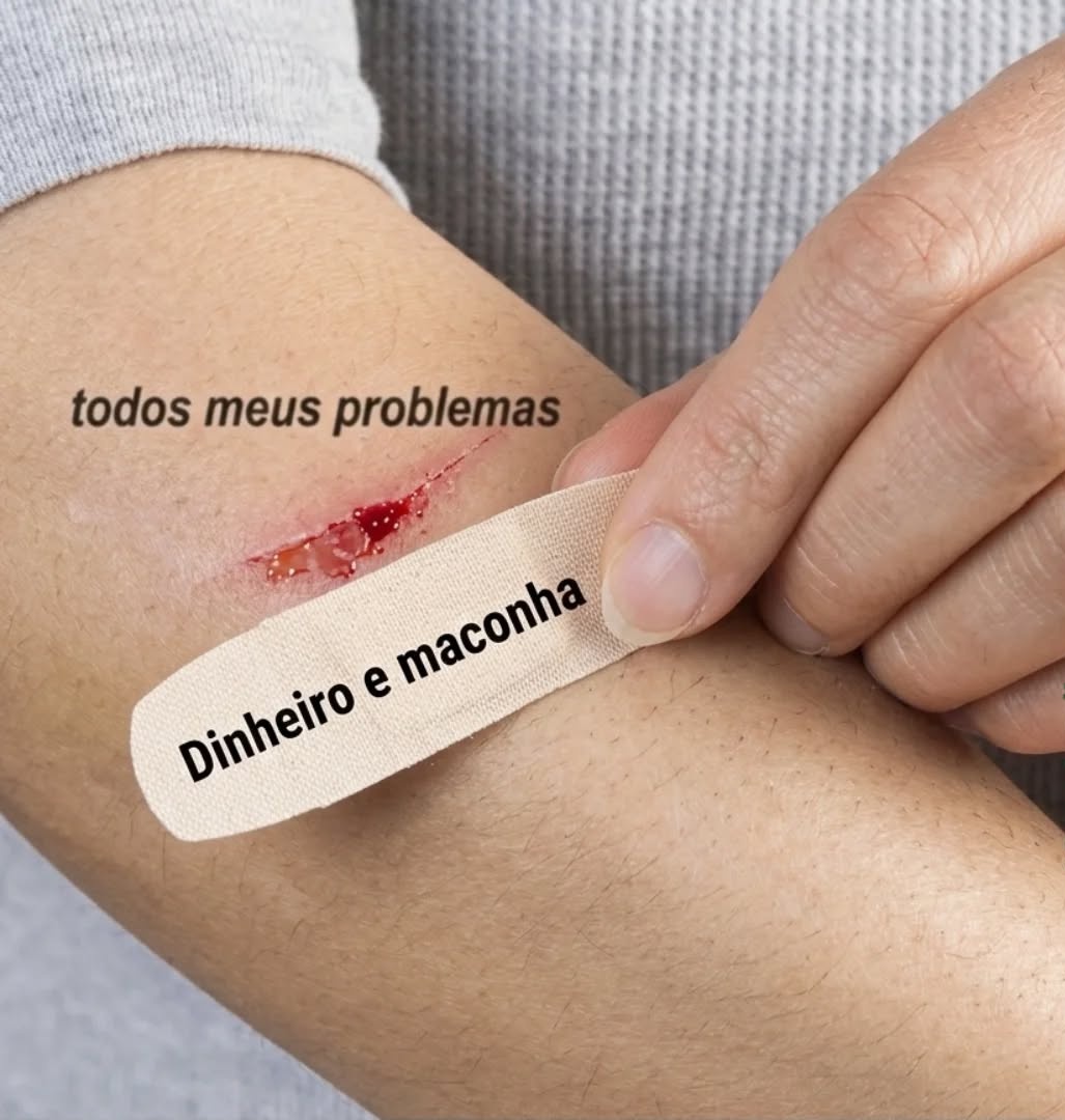 Brisadão tweet media
