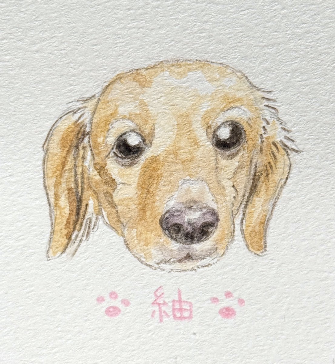amai_49's tweet photo. 紬ちゃんを描かせていただきました🐶💓

 #犬好きさんと繋がりたい  #まいペット  #ペット似顔絵  #うちのこグッズ https://t.co/QPt15ehsc4