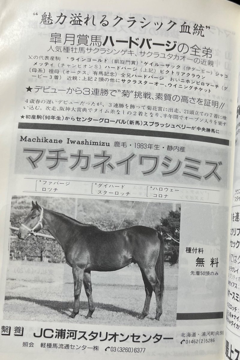 あっらー小林 tweet media