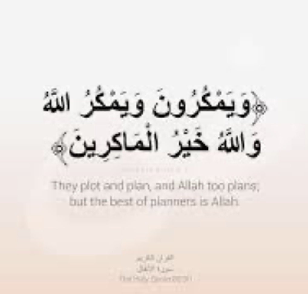 ند السعوديه 🇸🇦 tweet media