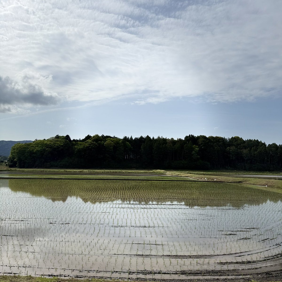started_0801's tweet photo. するする詐欺師…
詐欺師なだけに今日は2回も電話してくれて私は気分がとても良かったよ🙄
これは、私がやすみの日だけ成立するんだよね…
普段は1回できるか？できないかだもんね~
だから言われたとおりウェートトレーニングに今日は行ってきたよᕙ(  ˙-˙  )ᕗ https://t.co/6I5AUs5Vc6