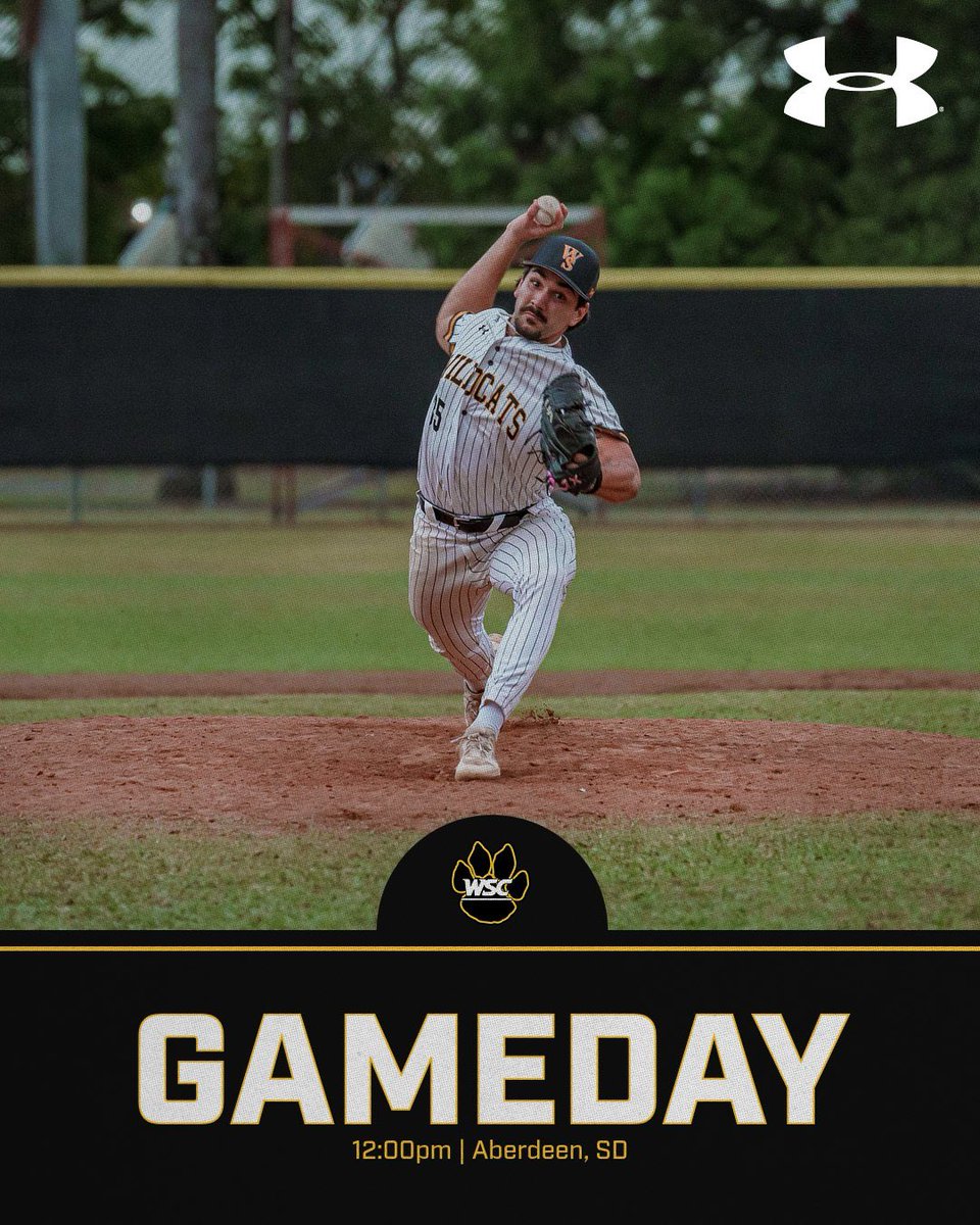 Wayne State Baseball tweet media