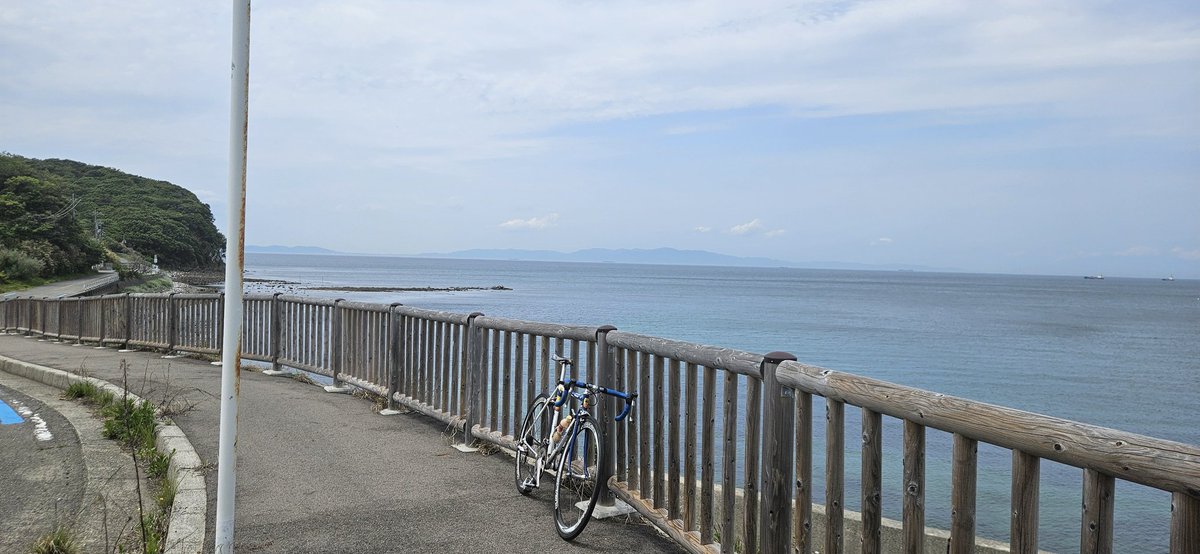 燎莉 tweet media
