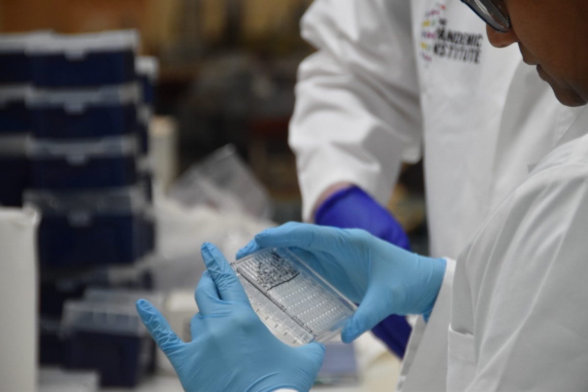 The Pandemic Institute tweet media