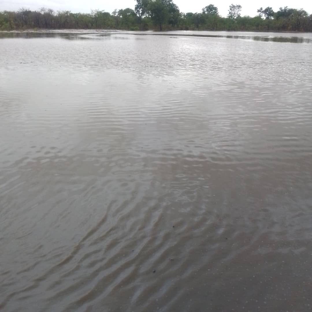 sahaglobal's tweet image. Kanjiyili has recorded its first water storage 💧

With 221 residents now served, the rehabilitated system is delivering year-round, climate-resilient water access—ending dry season shortages.

A major step toward sustainable last-mile service delivery.

#wash #water #climate