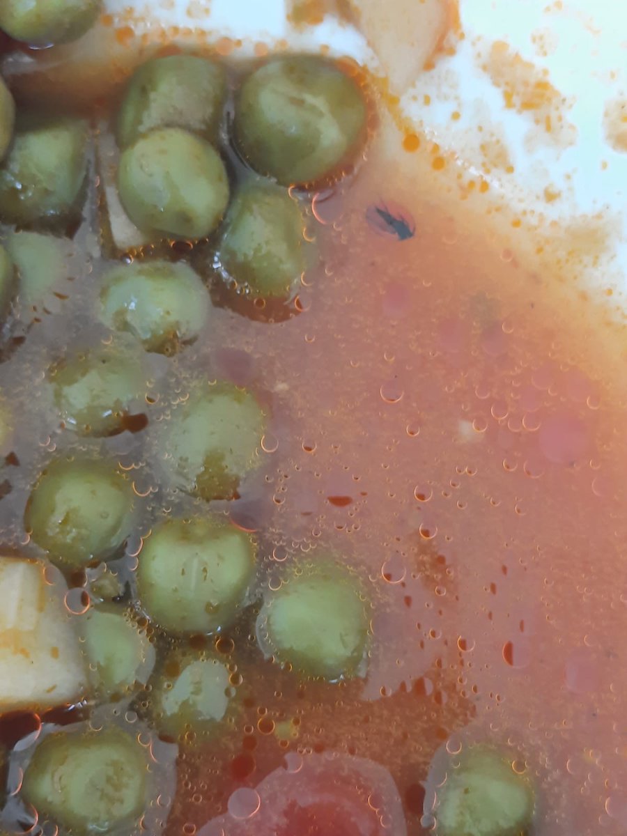 şeref salman tweet media