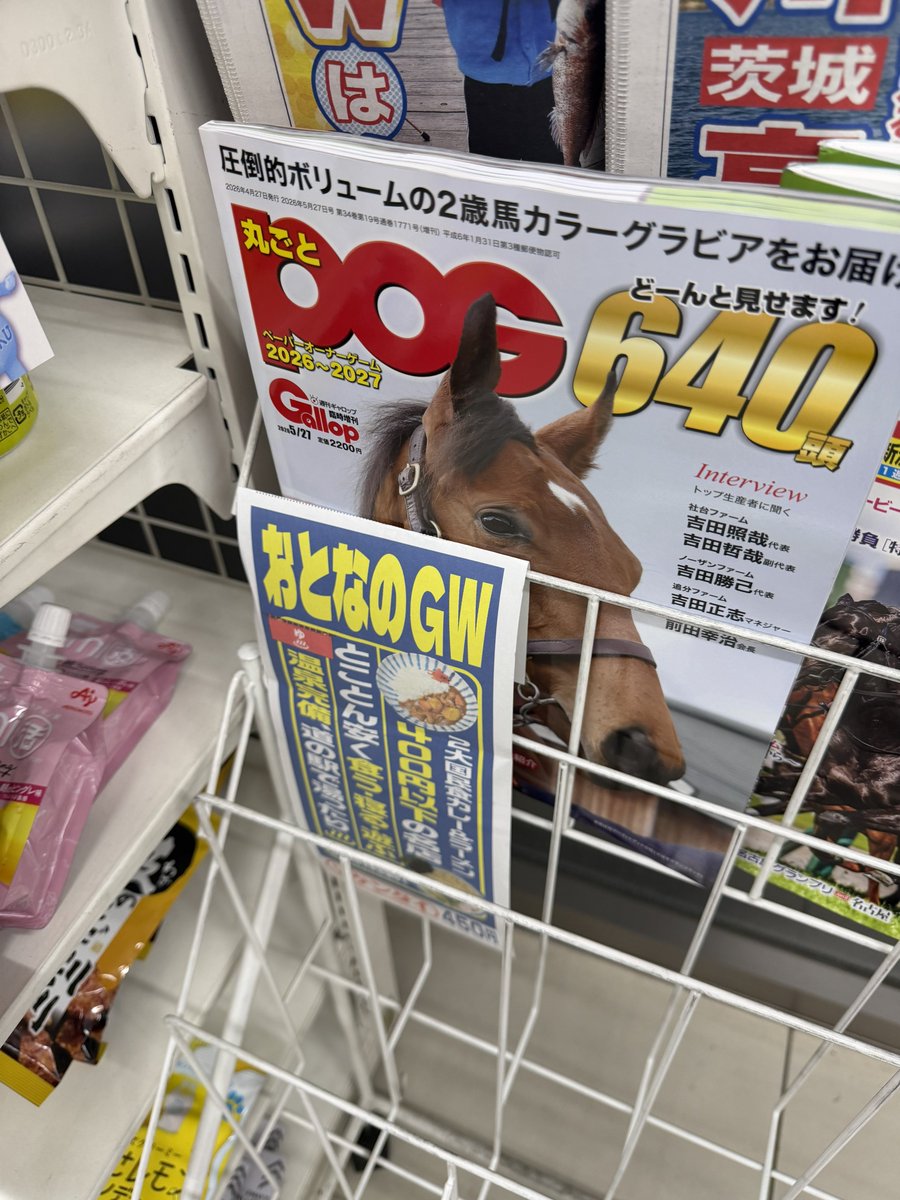 週刊Gallop丸ごとPOG 12冊セット 2720867_n.jpg