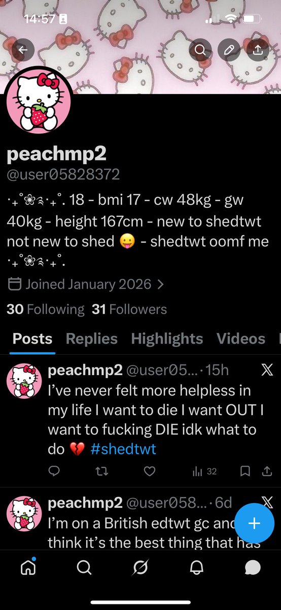 Hello kitty of shedtwt tweet media