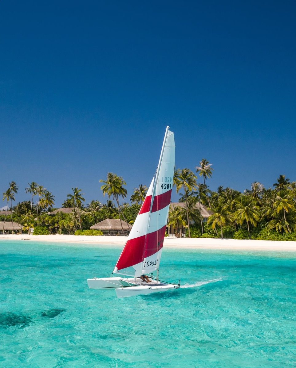 Earth Pictures tweet media