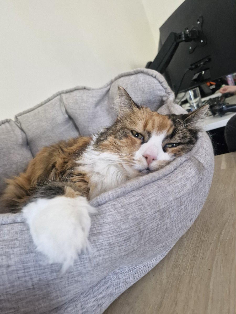 Willow si ulehla a vzdychla a ja se ptam: copak te trápí má malá nezaměstnaná vyžírko?