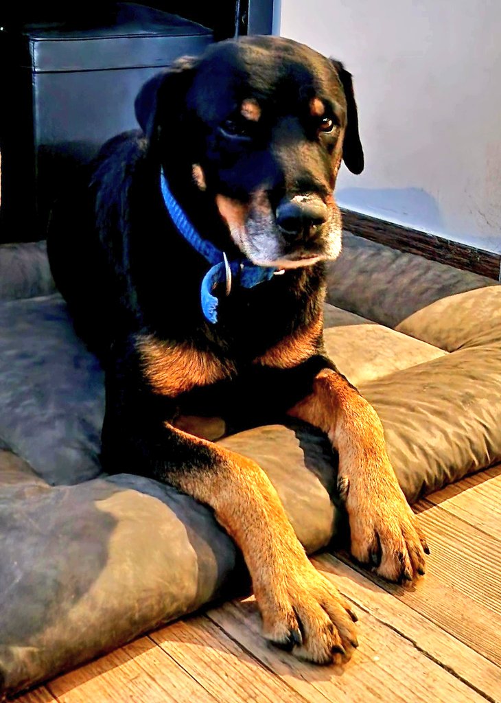 Dr. Gagardo tweet media