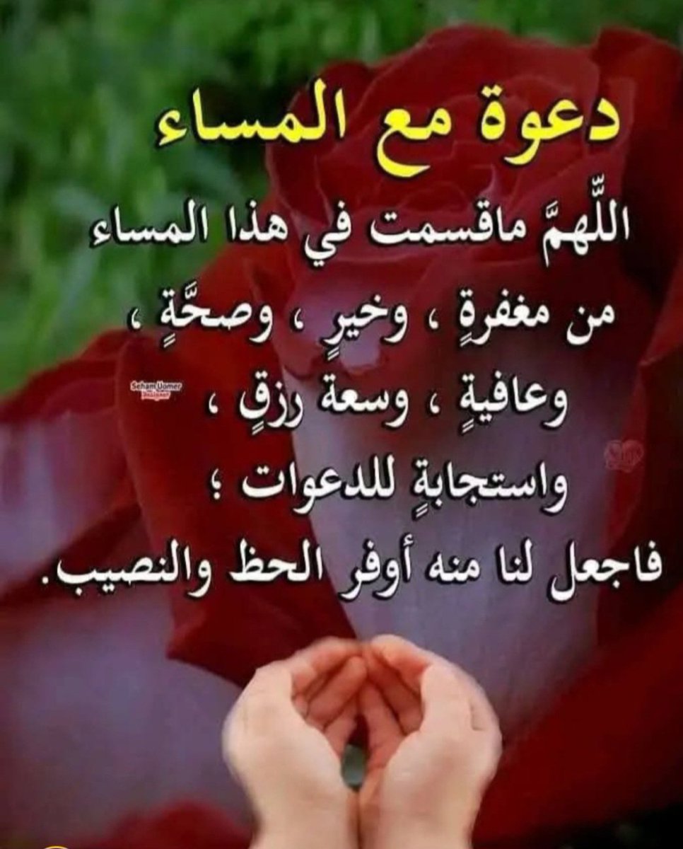الهنوف tweet media