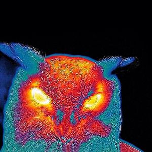 みなとぅん@万年金欠 tweet media