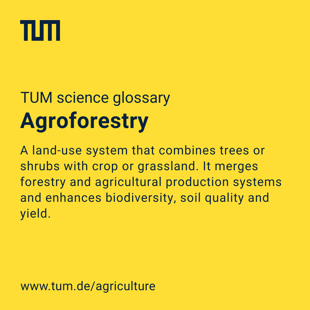 TU_Muenchen's tweet image. How can we make #agriculture more #sustainable while feeding the world and supporting ecosystems? Our next #ScienceGlossary entry introduces “#agroforestry”, which combines forestry with farming practices: go.tum.de/674840

#Munich
@researchbavaria 

📷 TUM CCC / S. Asseng