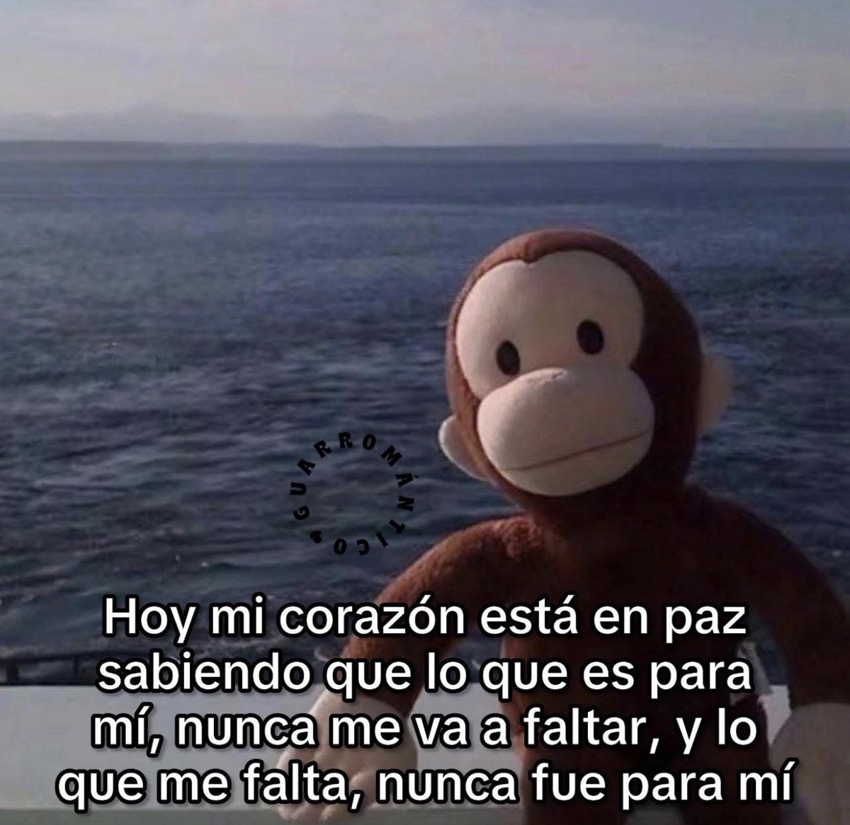 El Guarromántico tweet media