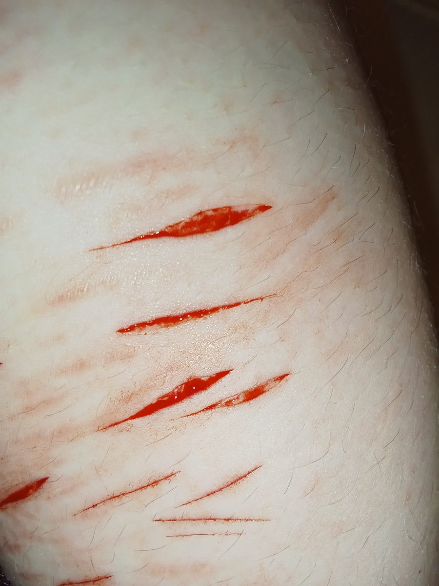 💣 𝓙d of shedtwt ꒷꒦ (Heathers 6/05/2026) tweet media