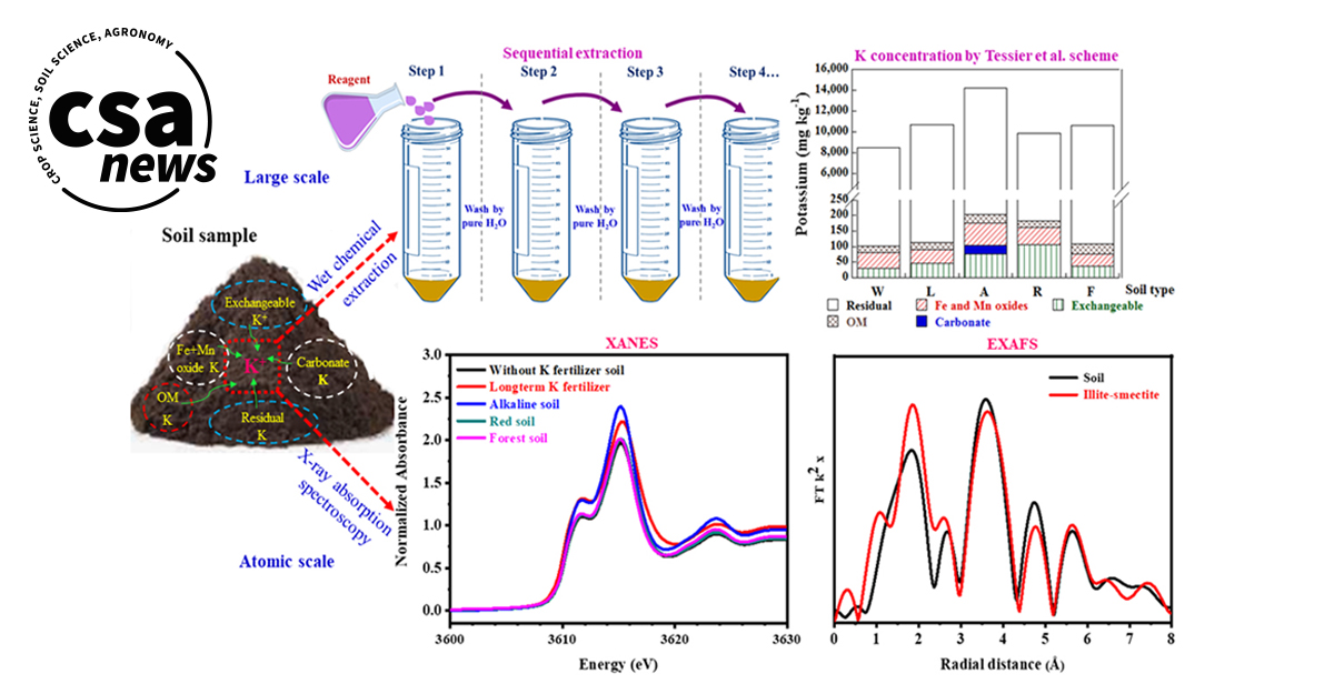 ASA_CSSA_SSSA's tweet photo. How much potassium is available to crops? Scientists used X-ray spectroscopy to map K-availability in Taiwanese soils, finding 95% is "locked" in stable minerals. Learn how this helps refine fertilizer use: https://t.co/tiOm1CYhdr
#NutrientManagement #Potassium #XRaySpectroscopy https://t.co/mYSnxfYiIs
