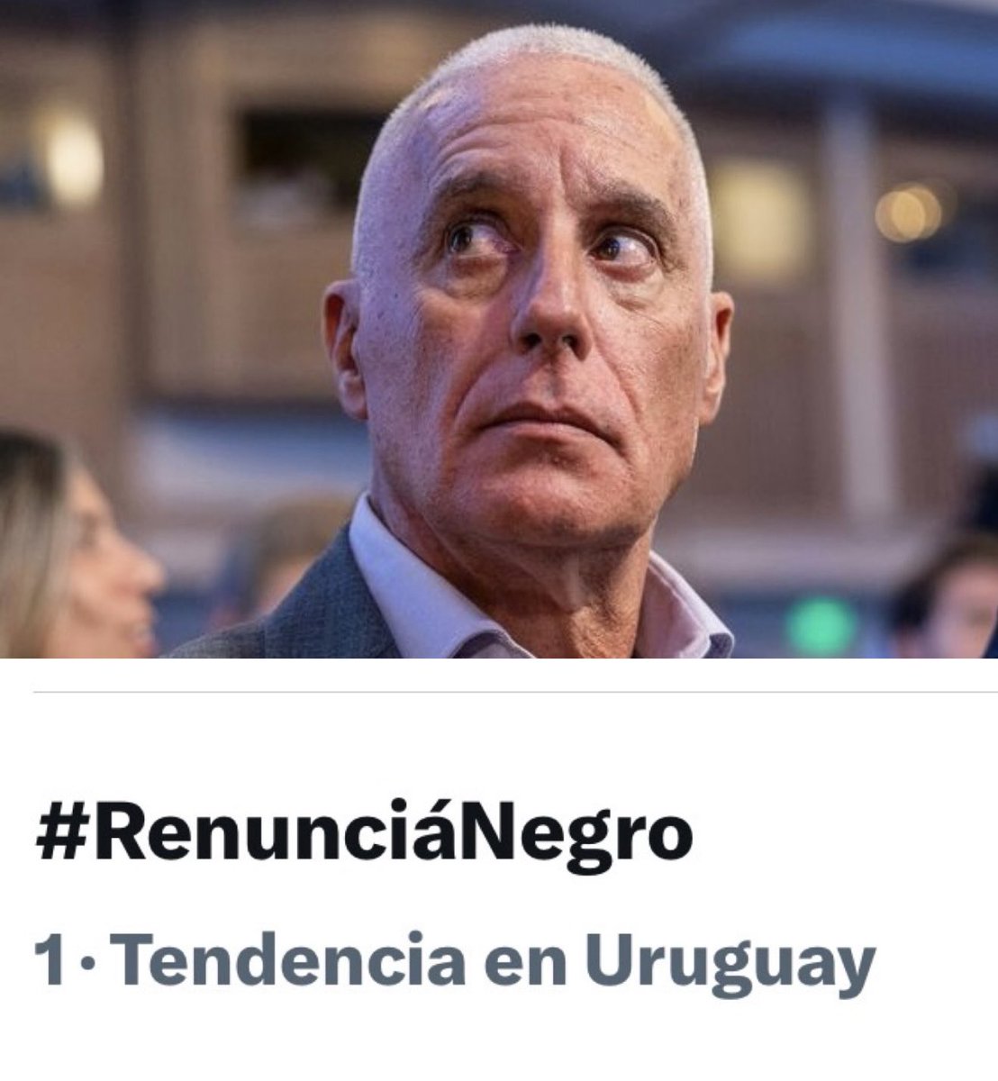 El Bagual bolso tweet media