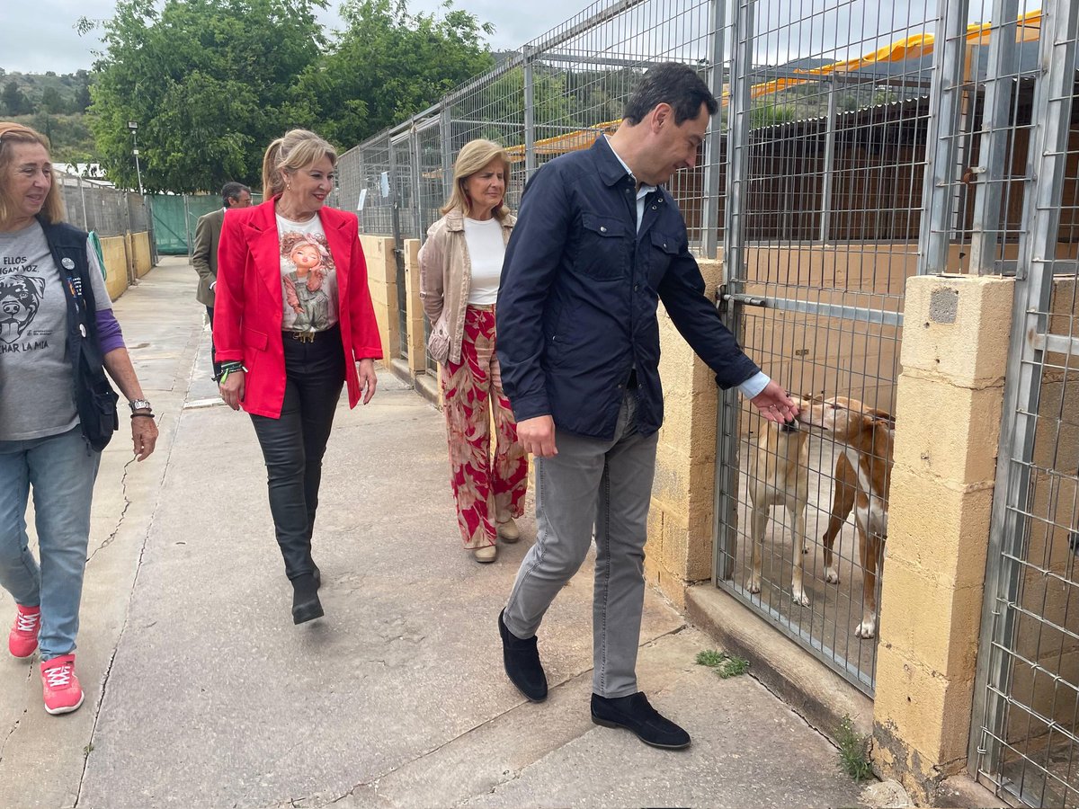 Carolina España tweet media
