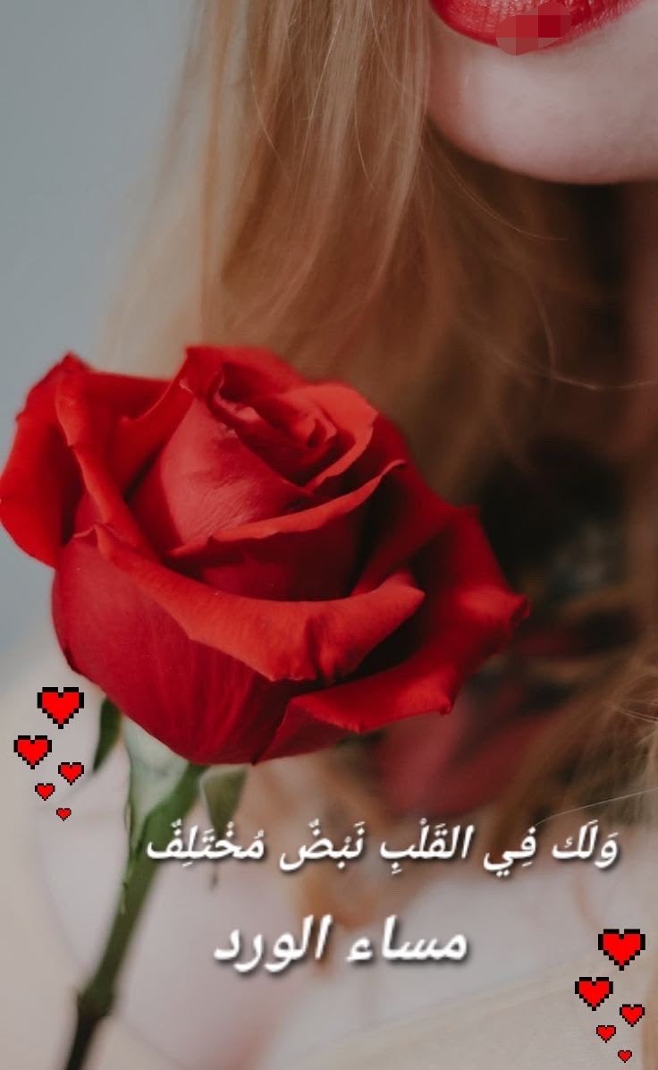 ♥️🕊الاميره قلبي🕊♥️ tweet media