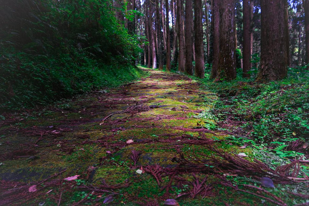 inaba04073's tweet photo. 龍門司坂にいってきた https://t.co/TOXVAK8sbV