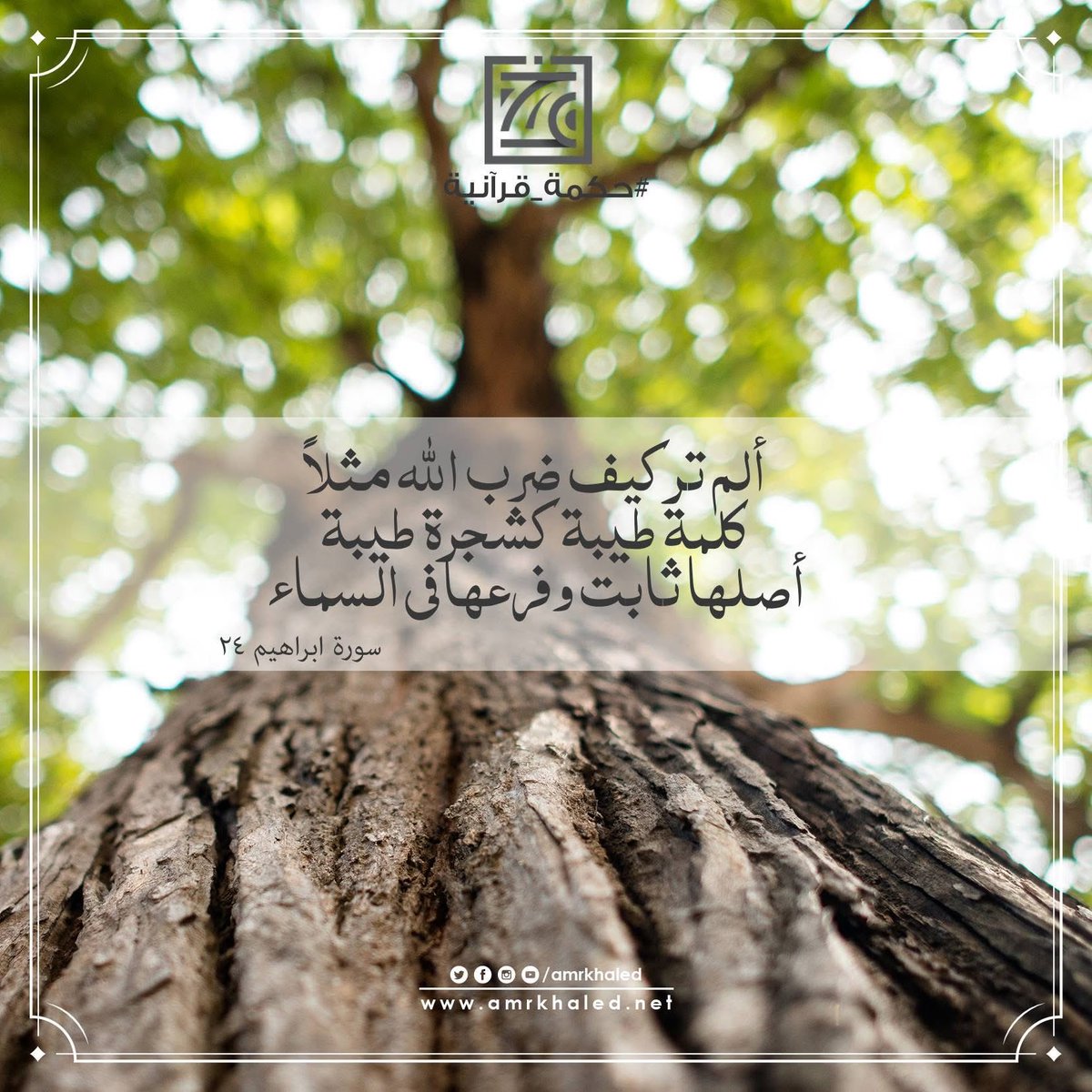 rashidalmethen's tweet photo. اماطة الأذى عن القلوب أكبر أجراً عن إماطة الأذى عن الطريق

رجل دخل الجنة بسبب إزالة غصن شجرة كانت تؤذي المسلمين في الطريق 

والكلمة الطيبة كالشجرة الطيبة https://t.co/Ke2chjEH5A