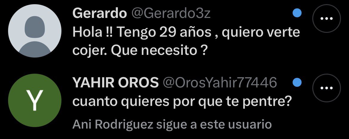 natashahmo tweet media