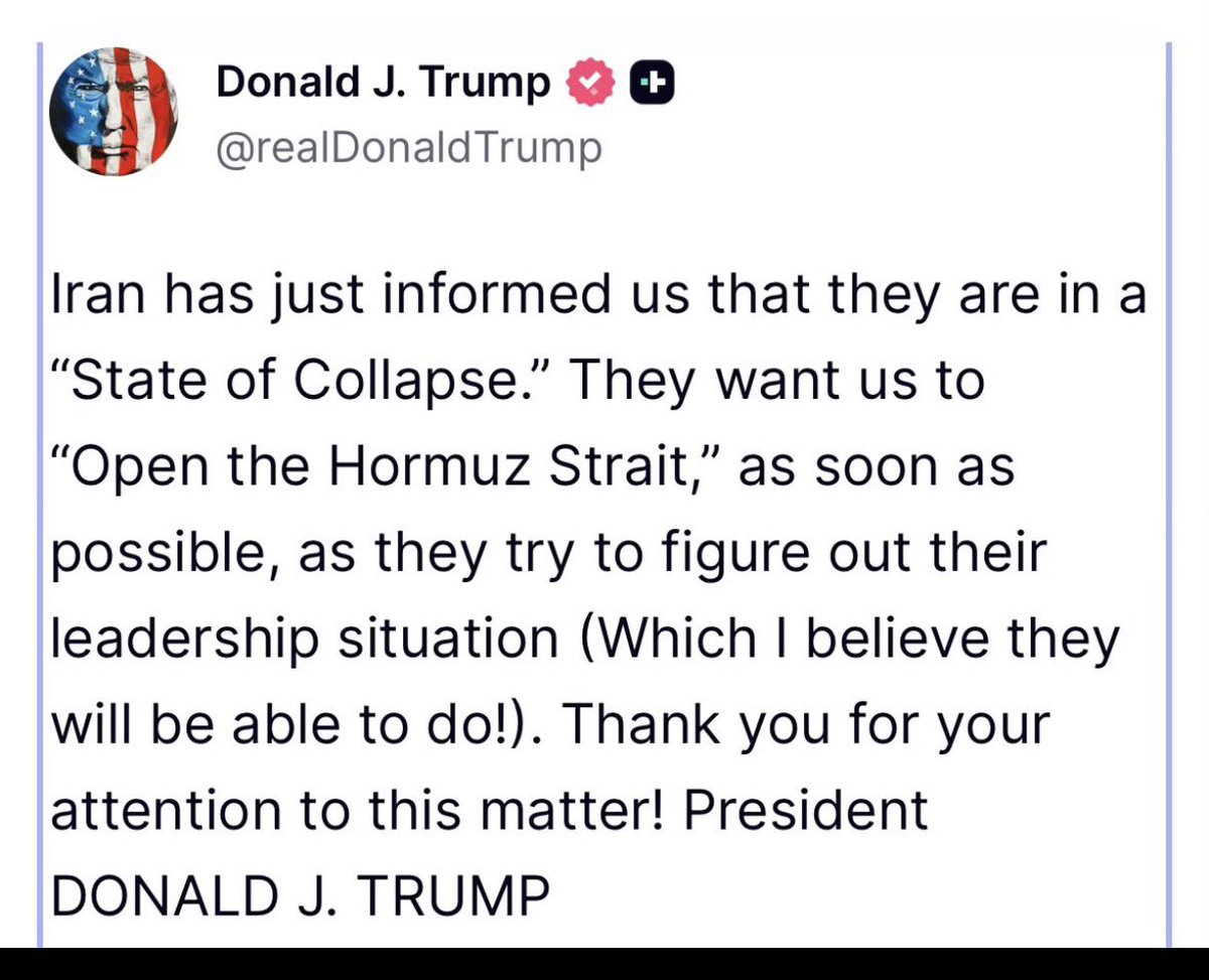 Niki نیکی tweet media